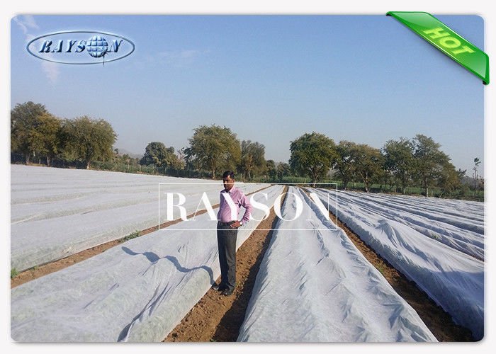 pl11010370-recycle_compostable_garden_weed_control_fabric_spunbond_in_seasame_dot.jpg