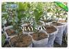 pl11010385-tear_resistant_pp_spunbond_non_woven_grow_bags_for_plants_heat_sealing.jpg