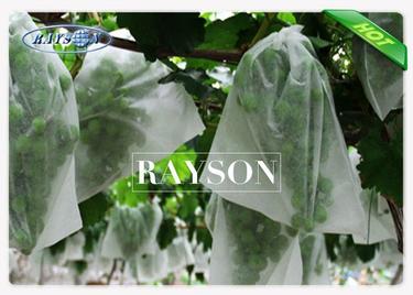pl11010394-anti_insect_pest_non_woven_fruit_protection_netting_blue_white_color.jpg