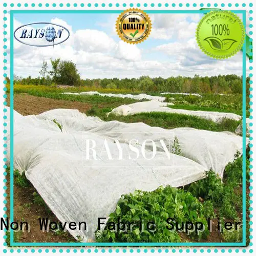 weed paper for garden frost for ground cover Rayson Non Woven Fabric