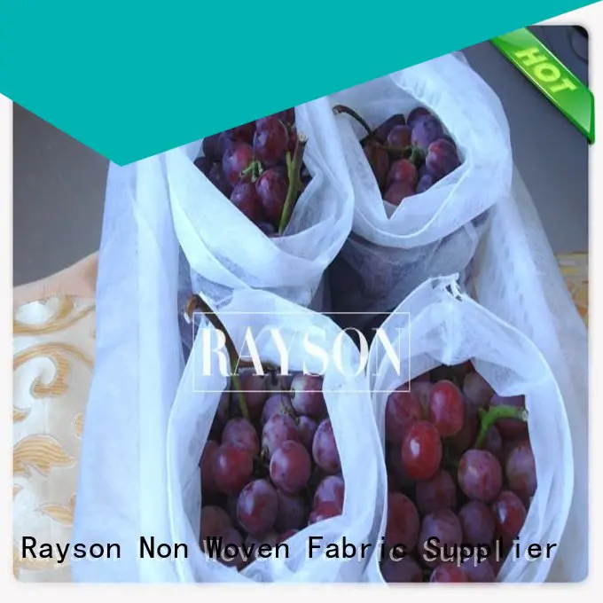 Rayson Non Woven Fabric online fruit cover mesh supplier for home furnishings