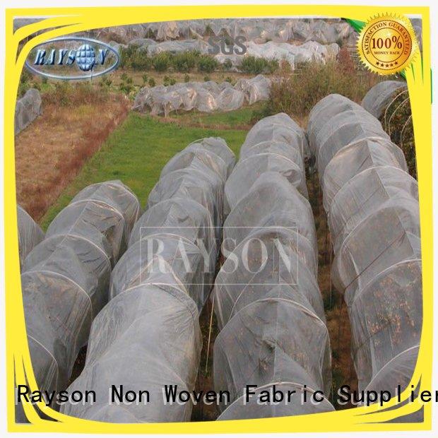 34 gsm UV 3% White Color Polypropylene Frost Protection Fleece Used For Agricultural Crop Cover