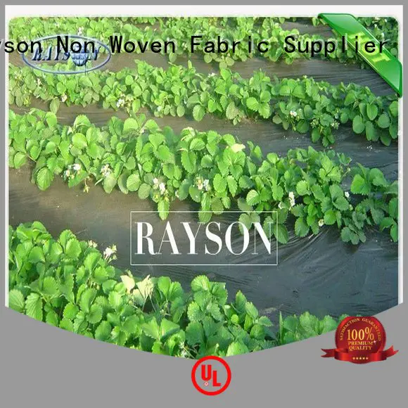 mesh landscape tarps years for ground cover Rayson Non Woven Fabric