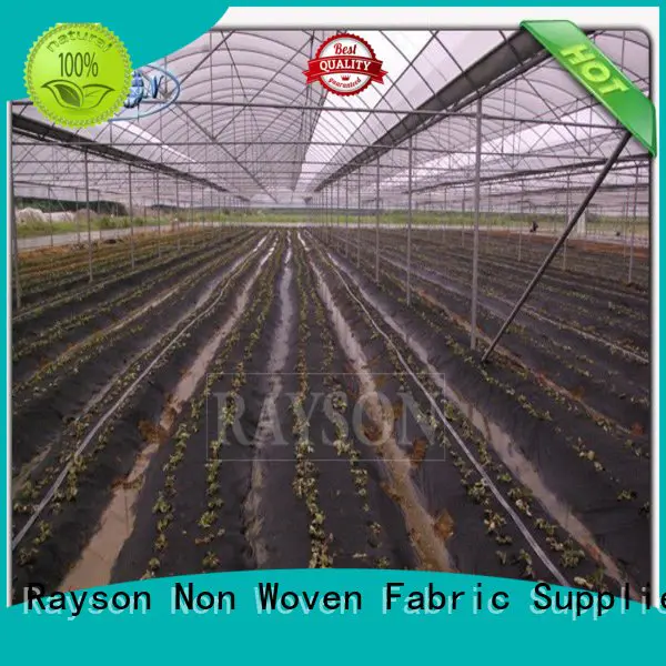 Rayson Non Woven Fabric high quality weed control fabric pegs durable for seed blankets