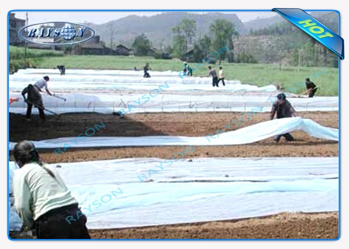 Breathable Spunbond Anit Frost Protection Fleece Frost Cover Nonwoven Fabric