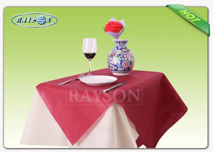 machine wholesale for outerdoor Rayson Non Woven Fabric
