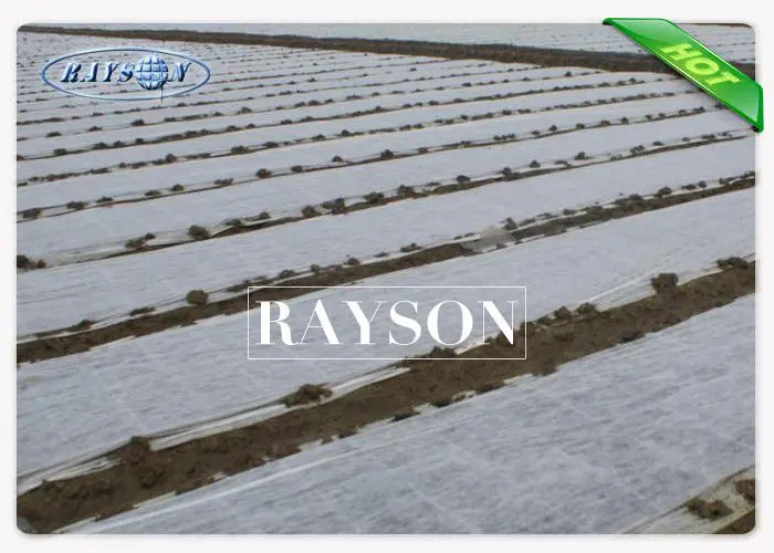 healthy breathable membrane for gardens stabilization for root control bags Rayson Non Woven Fabric