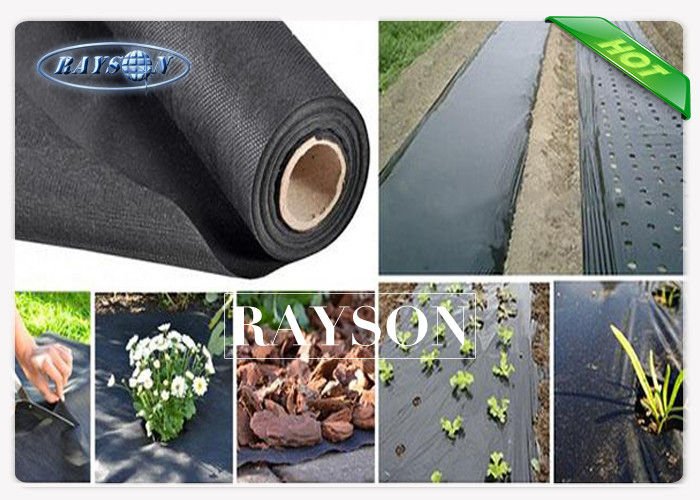 Light Weight Roll Packing Garden Weed Control Fabric / Non Woven Mulch For Covering Crops