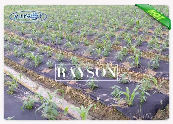 Rayson Non Woven Fabric high density fabric for weeds manufacturer for root control bags