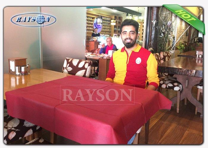 Rayson Non Woven Fabric high quality wholesale for home
