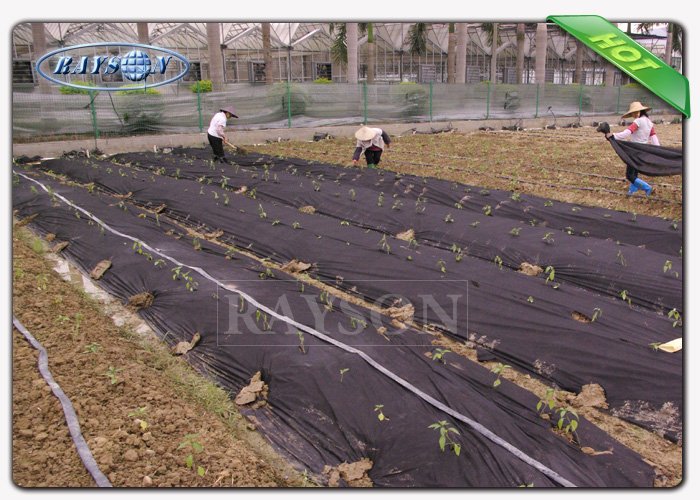 Felxible and durable light weight Garden Weed Control Fabric in non woven material