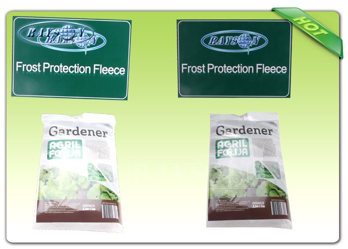 professional landscape fabric maintain for seed blankets Rayson Non Woven Fabric