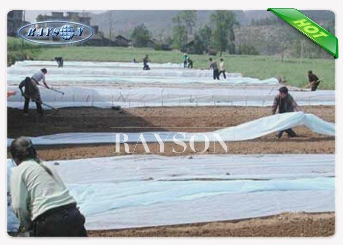 Black Landscape Cloth Anti-UV Biodegradable Landscape Fabric for Wind and Show Protection