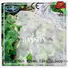 UV Ttreated PP Spunbond Frost Protection Fleece Biodegradable Landscape Fleece 40gram