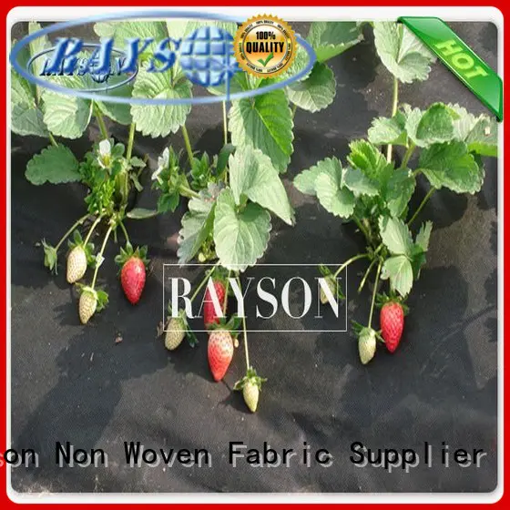 anti uv flower bed landscape fabric wholesale for root control bags Rayson Non Woven Fabric