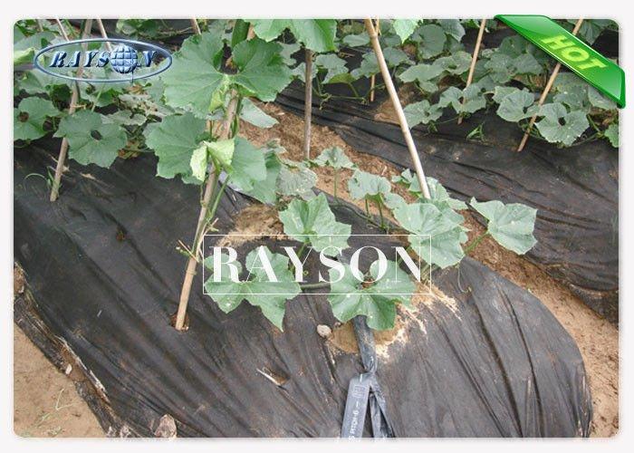 Agriculture Weed Control Nonwoven Ground Cover / Weed Mat For Crops Growth