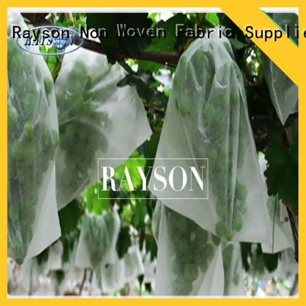 Rayson Non Woven Fabric heat sealing fruit protection bags anti for home furnishings