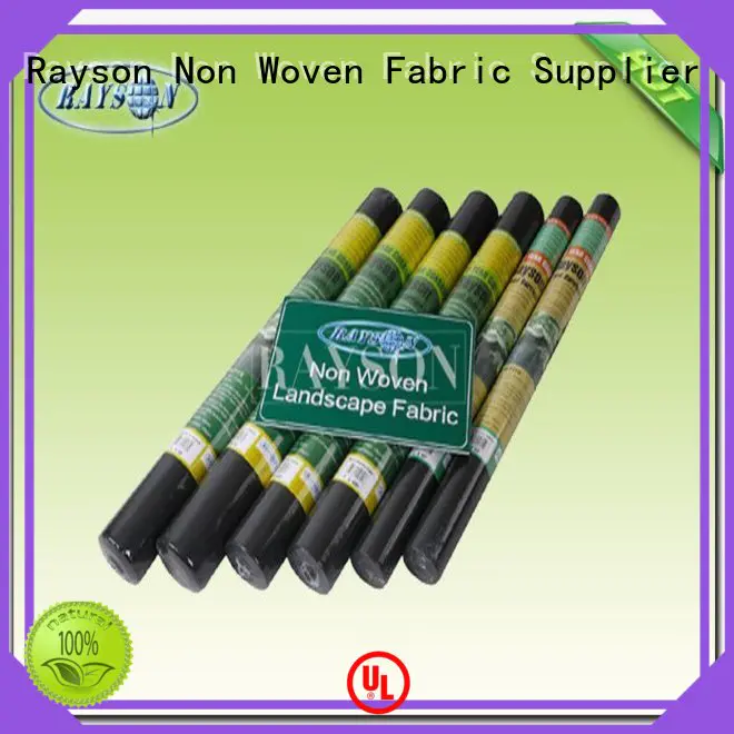 Rayson Non Woven Fabric low landscape matting wholesale for ground cover
