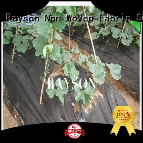 Rayson Non Woven Fabric diseases non woven polypropylene landscape fabric wholesale for seed blankets