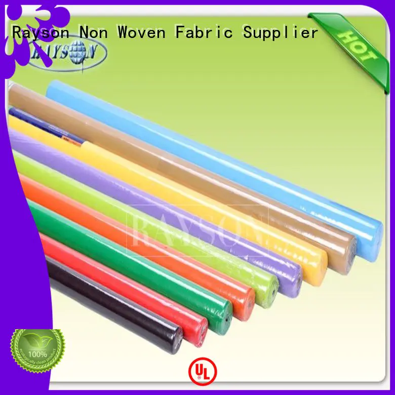 Rayson Non Woven Fabric 38g manufacturer for hotel