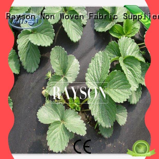 protection landscape cloth lowes manufacturer for root control bags Rayson Non Woven Fabric