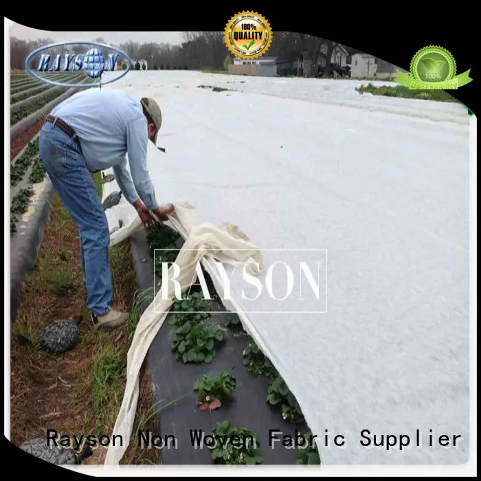Rayson Non Woven Fabric high density flower garden weed control wholesale for ground cover