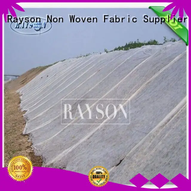 Rayson Non Woven Fabric high quality insulated pots for plants test for weed control