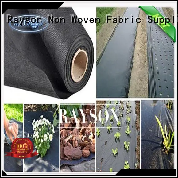 show black weed control fabric lanscaping for ground cover Rayson Non Woven Fabric