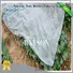 Rayson Non Woven Fabric high quality ground cover weed control seasame for root control bags