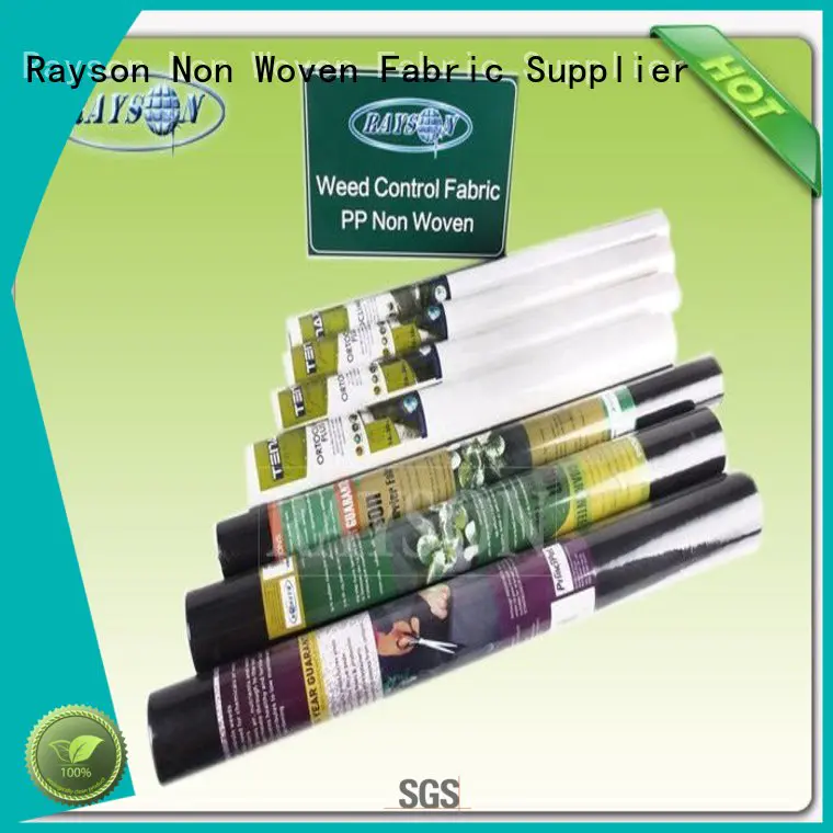 Rayson Non Woven Fabric online landscape membrane manufacturer for seed blankets