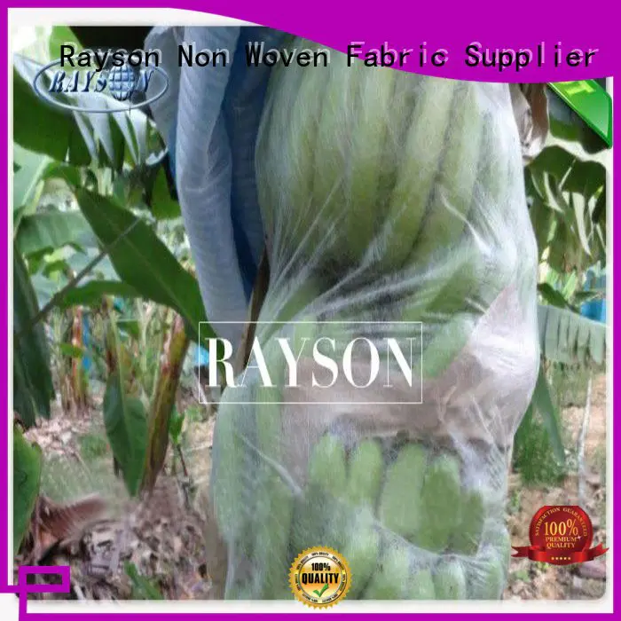 agriculture apple fruit bags friendly for pear and vegetable Rayson Non Woven Fabric