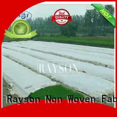 Rayson Non Woven Fabric online lanscaping fabric supplier for ground cover