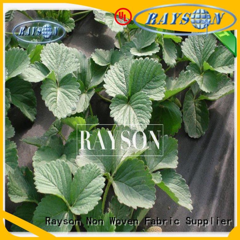 Rayson Non Woven Fabric moist grey landscape fabric manufacturer for seed blankets