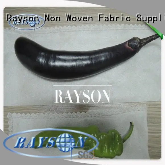Rayson Non Woven Fabric white color fruit exclusion bags supplier for banana