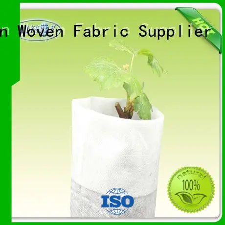 100% PP Non Woven Cultivating Bag For Banana / Breathable Protection Bag