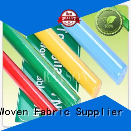 Rayson Non Woven Fabric film supplier for outerdoor