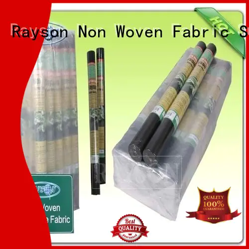 high quality best price weed control fabric manufacturer for root control bags Rayson Non Woven Fabric