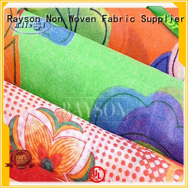 Custom no various spunbond nonwoven Rayson Non Woven Fabric tote