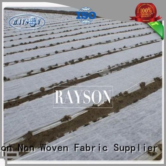 large plant membrane wholesale for root control bags Rayson Non Woven Fabric