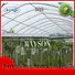 material dupont landscape fabric supplier for seed blankets Rayson Non Woven Fabric
