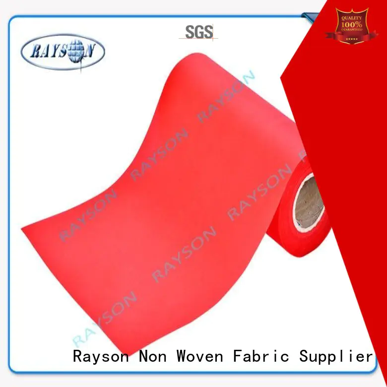 Rayson Non Woven Fabric Best polypropylene material for sale factory for sofa upholstery