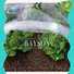 Rayson Non Woven Fabric join landscape matting series for root control bags