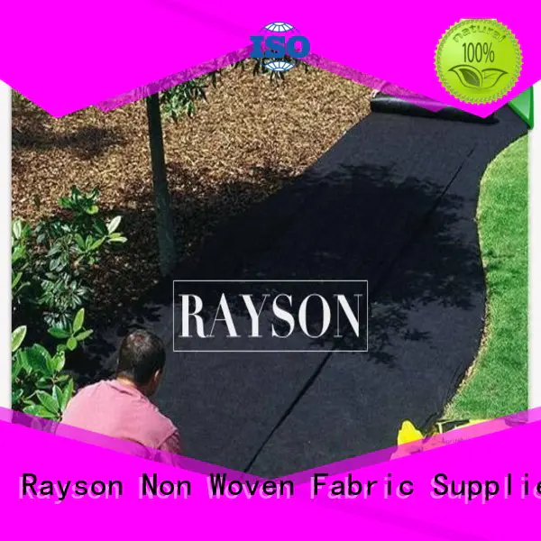 permeability weed control cloth fabric tree for ground cover Rayson Non Woven Fabric