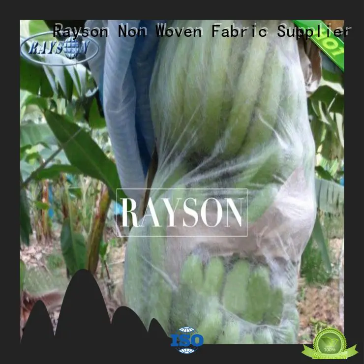 Rayson Non Woven Fabric high quality bags to cover fruit on trees witer for home furnishings