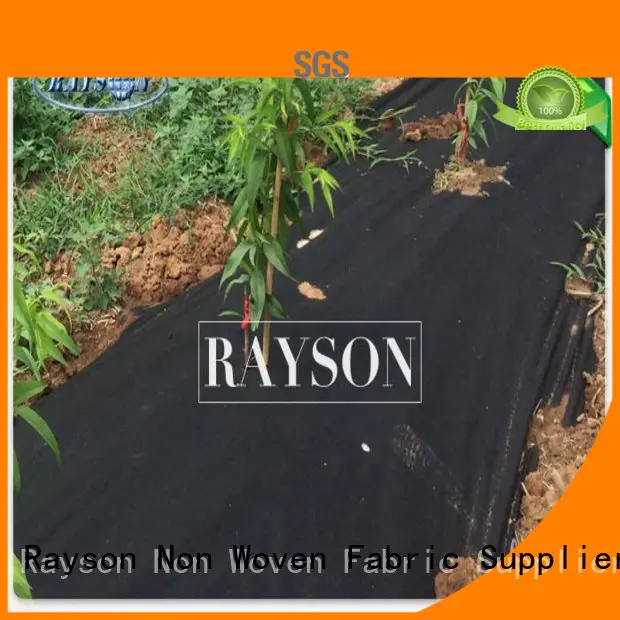 Rayson Non Woven Fabric crop garden fabric liner supplier for ground cover