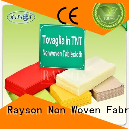 Rayson Non Woven Fabric individual wholesale for outerdoor