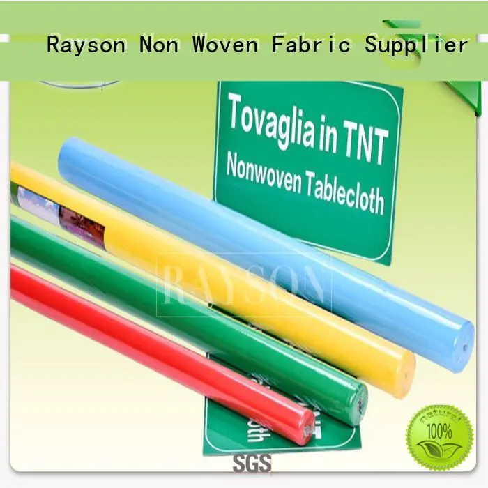Rayson Non Woven Fabric customized 1m1m for factory