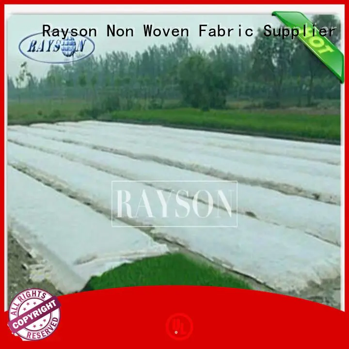 40gsm best landscape fabric to use sgs for root control bags Rayson Non Woven Fabric