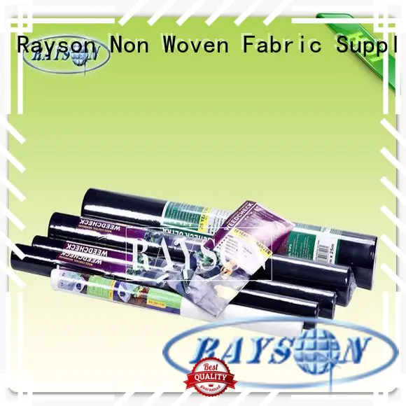 Rayson Non Woven Fabric black biodegradable landscape fabric manufacturer for ground cover