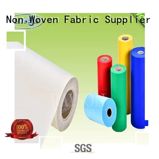 fair bags more pp spunbond nonwoven fabric Rayson Non Woven Fabric